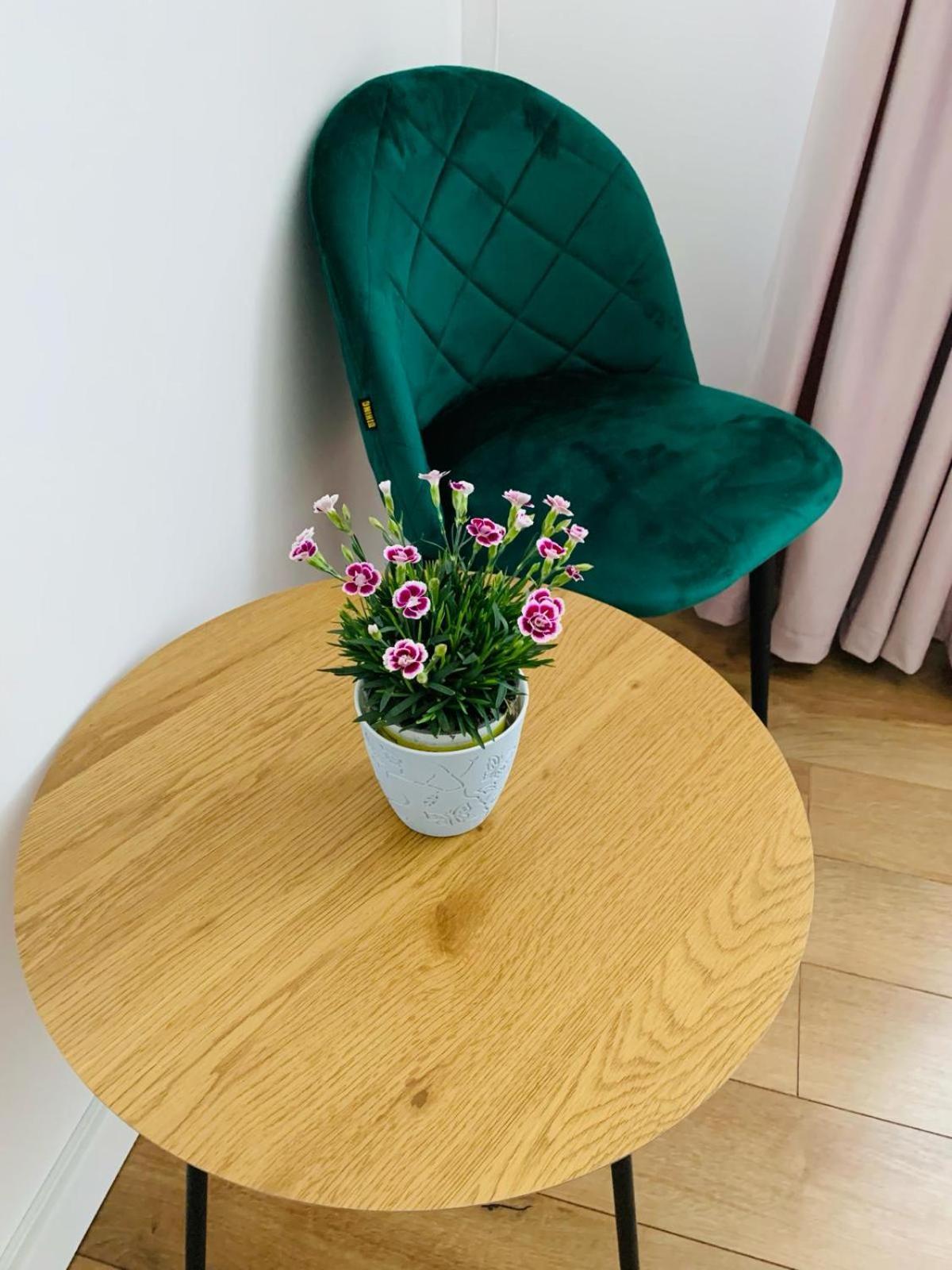 Iris Apartment Karácsonkő Kültér fotó